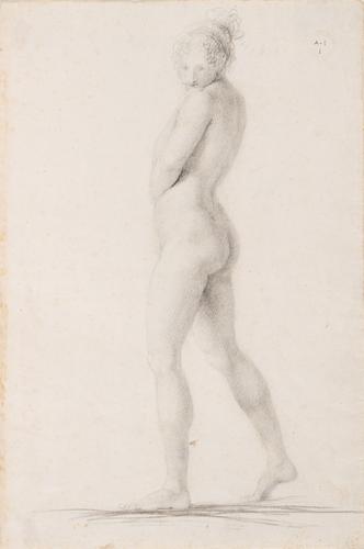 Nudo di profilo andante