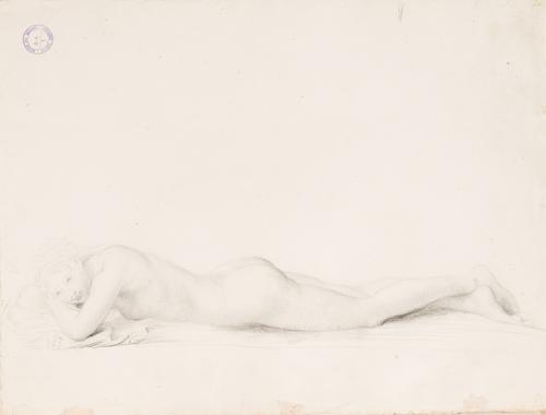Nudo bocconi